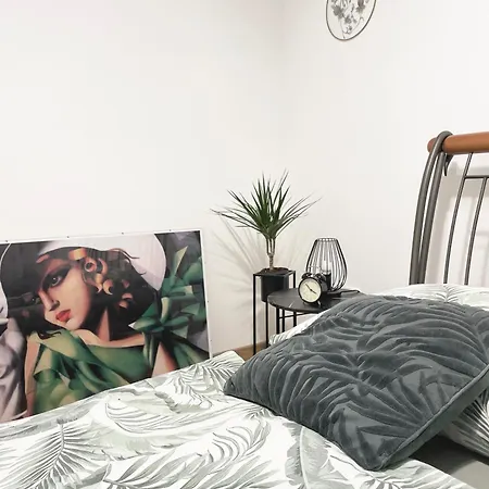 Apartament Atlas In The Historical Center Of With Free Private Parking Koszyce